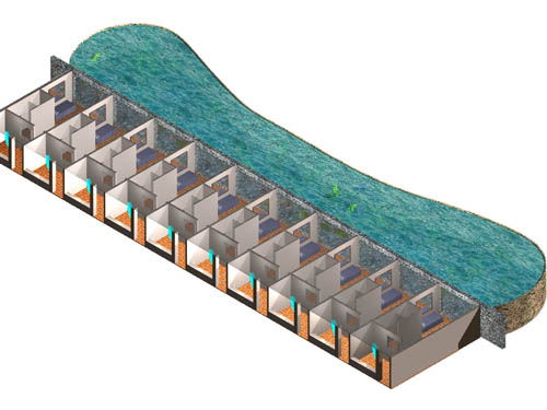 Natural swimming pool in AutoCad 2012.